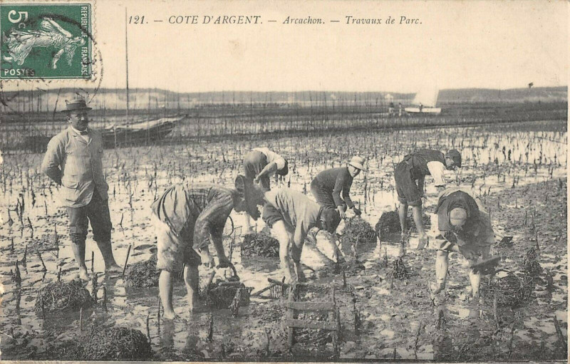 Carte postale ancienne Cote D'Argent Arcachon Travaux De Parc à Arcachon