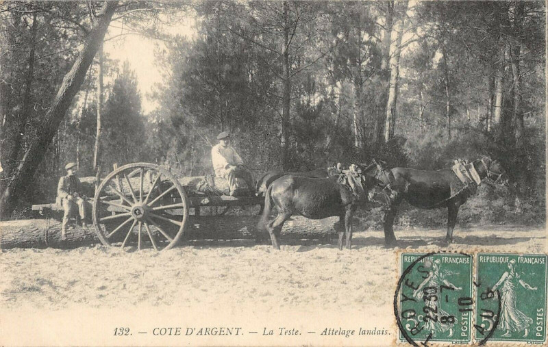 Carte postale ancienne Cote D'Argent La Teste Attelage Landais
