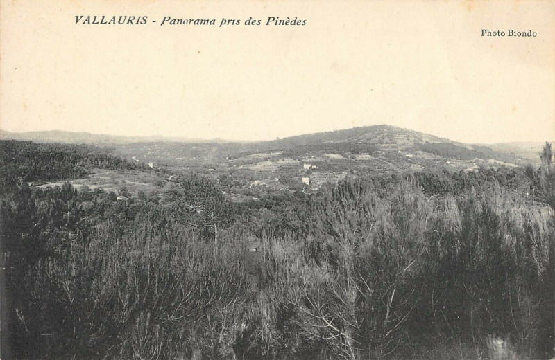 Carte postale ancienne Vallauris Panorama Pris Des Pinedes à Vallauris