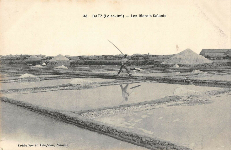 Carte postale ancienne Batz Les Marais Salants