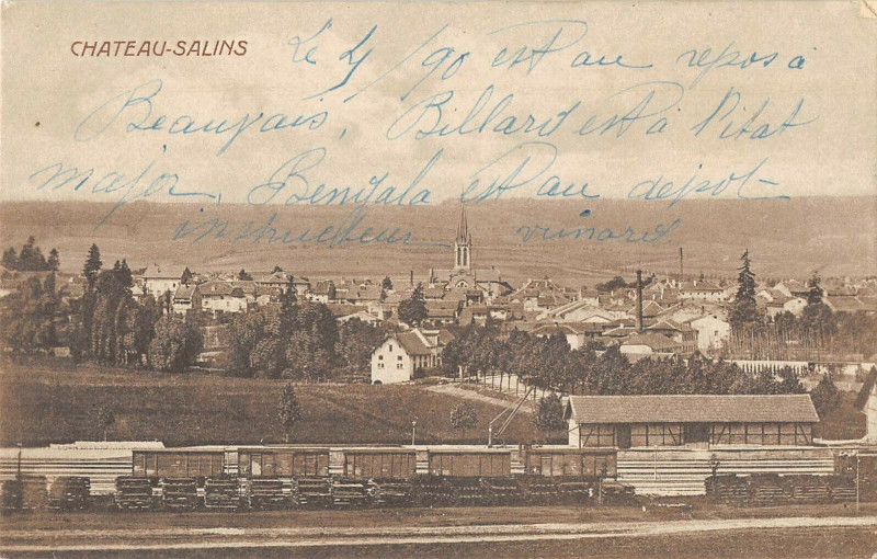 Carte postale ancienne Chateau Salins (gare