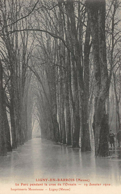 Carte postale ancienne Ligny En Barrois Le Parc Pendant La Crue De L'Ornain 1910 (rare à Ligny-en-Barrois