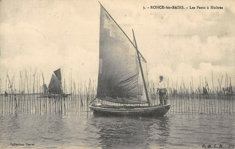 Carte postale ancienne Ronce Les Bains Les Parcs A Huitres