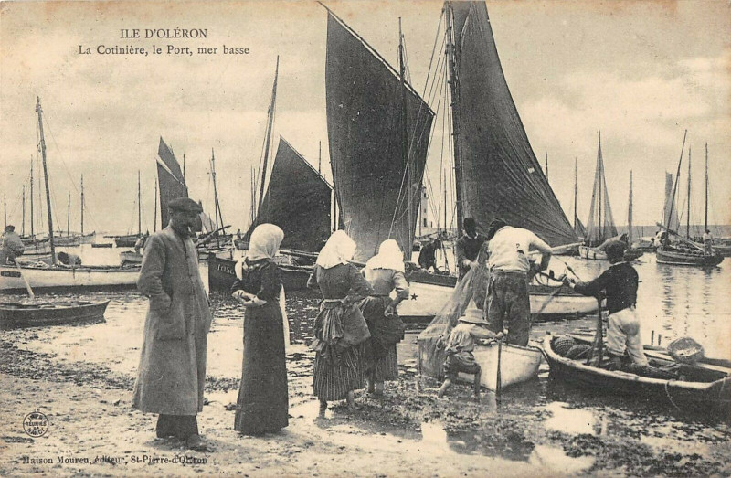 Carte postale ancienne Ile D'Oleron La Cotiniere Le Port Mer Basse