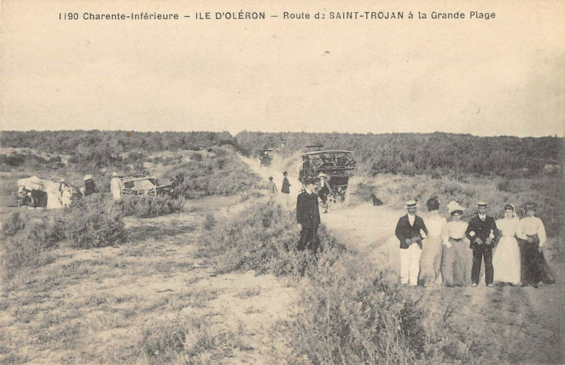 Carte postale ancienne Ile D'Oleron Route De Saint Trojan A La Grande Plage