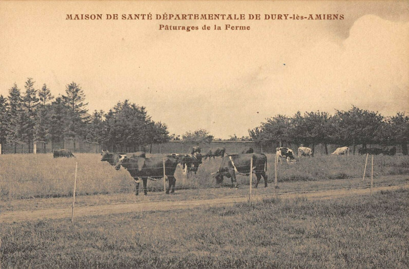 Carte postale ancienne Maison De Sante Departementale De Dury Les Amiens Paturages Ferme à Dury