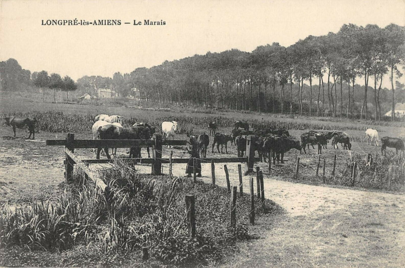 Carte postale ancienne Longpre Les Amiens Le Marais à Amiens