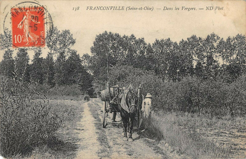 Carte postale ancienne Franconville Dans Les Vergers à Franconville