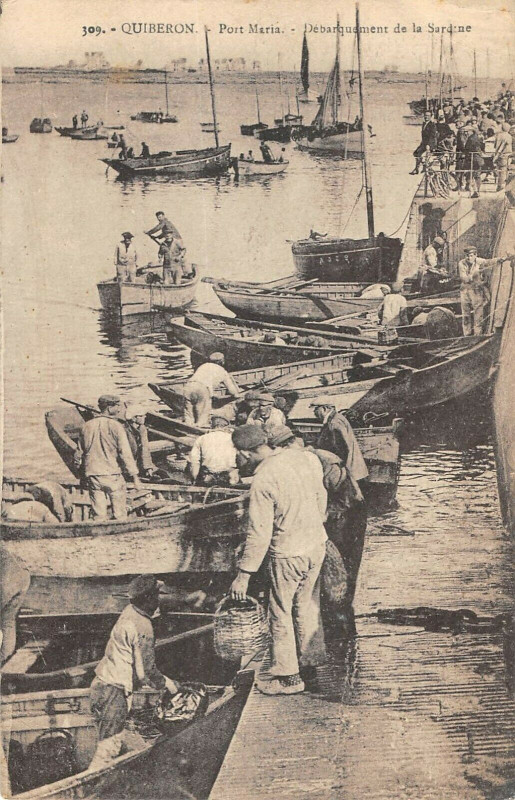 Carte postale ancienne Quiberon Port Maria Debarquement De La Sardine à Quiberon
