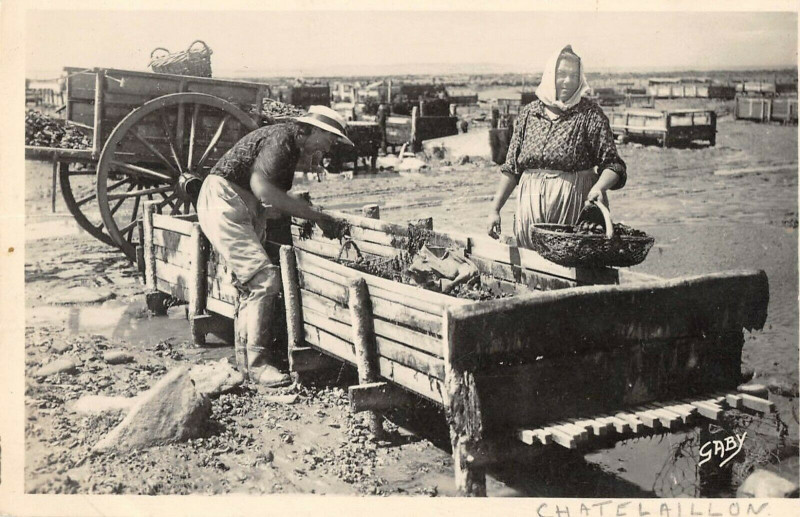 Carte postale ancienne Chatelaillon Les Boucholeurs Au Travail