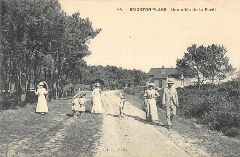 Carte postale ancienne Brighton Plage Une Allee Dans La Foret
