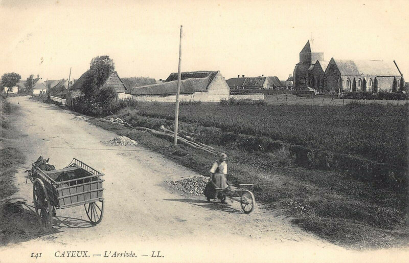 Carte postale ancienne Cayeux L'Arrivee à Y