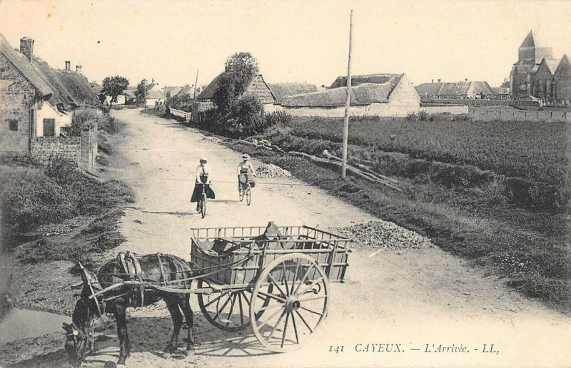 Carte postale ancienne Cayeux L'Arrivee à Y