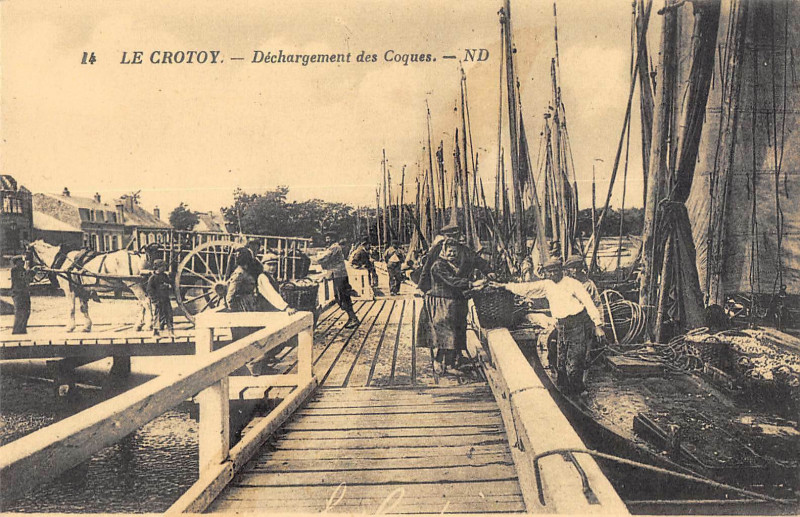 Carte postale ancienne Le Crotoy Dechargement Des Coques au Crotoy