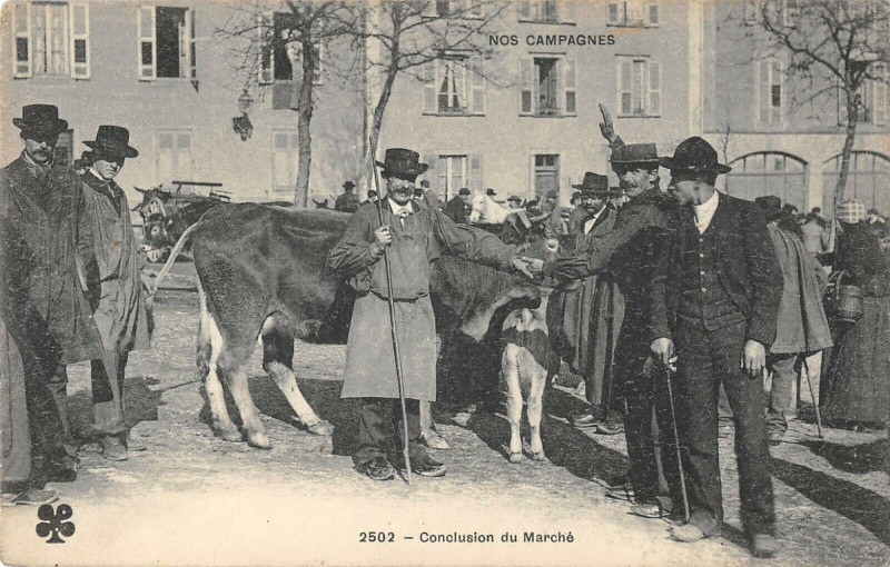 Carte postale ancienne Nos Campagnes Conclusion Du Marche