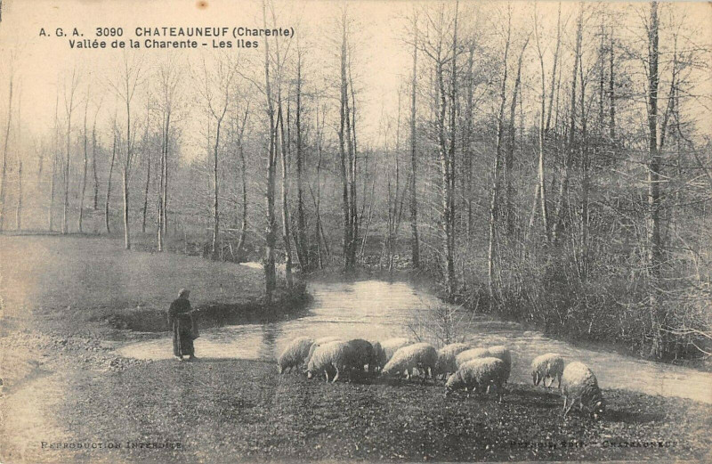 Carte postale ancienne Chateauneuf Vallee De La Charente Les Iles