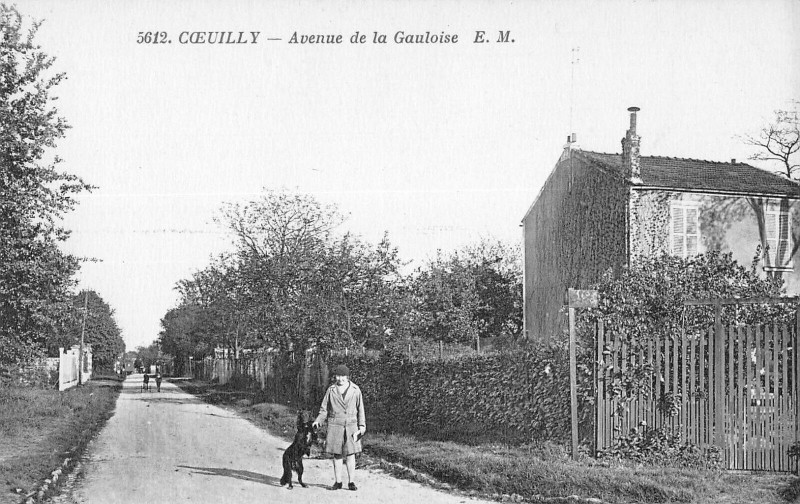 Carte postale ancienne Coeuilly Avenue De La Gauloise