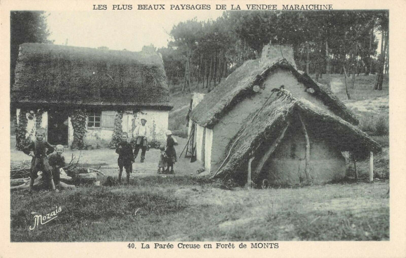 Carte postale ancienne Vendee Maraichine La Paree Creuse En Foret De Monts