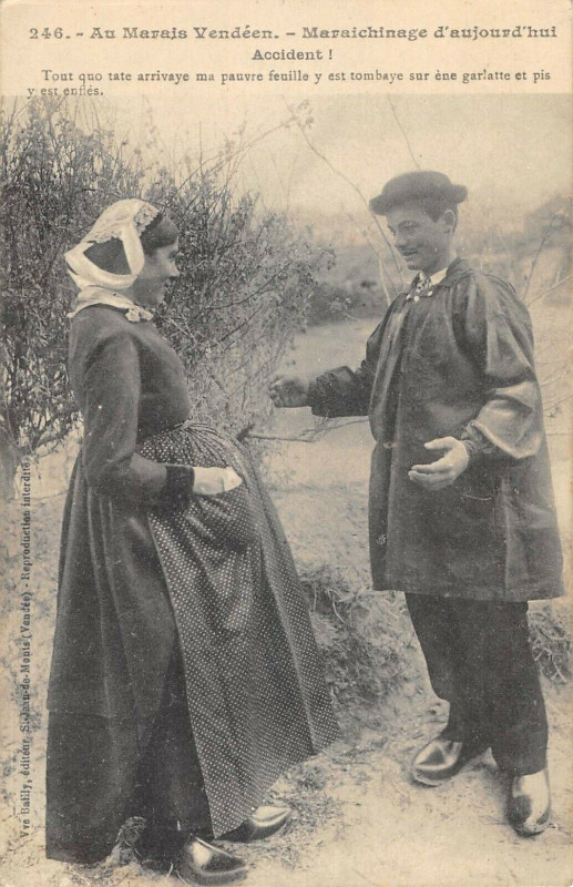 Carte postale ancienne Au Marais Vendeen Maraichinage Accident