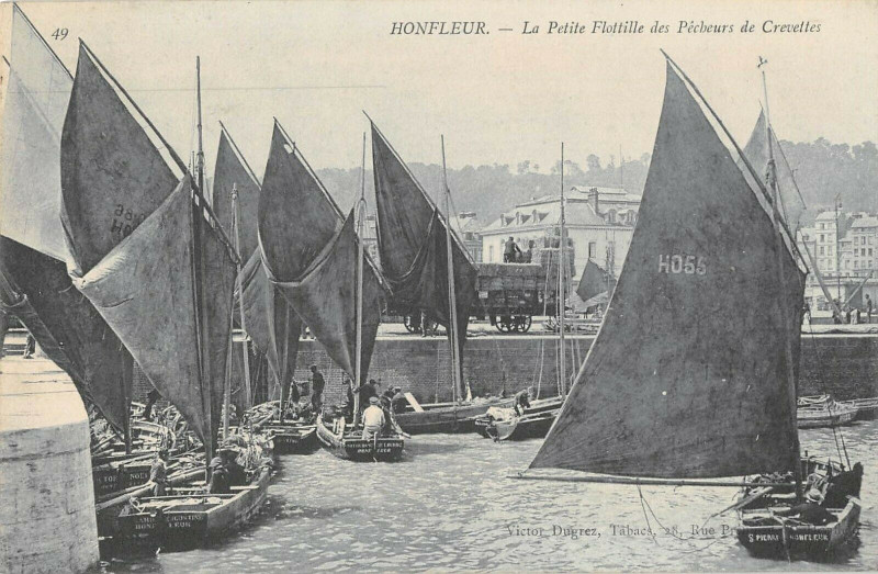 Carte postale ancienne Honfleur La Petite Flotille Des Pecheurs De Crevettes à Honfleur
