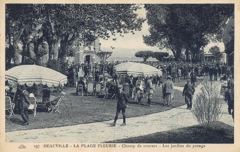 Carte postale ancienne Deauville Champ De Courses Les Jardins Du Pesage à Deauville