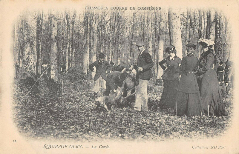 Carte postale ancienne Chasses A Courre De Compiegne Equipage Olry La Curee à Compiègne