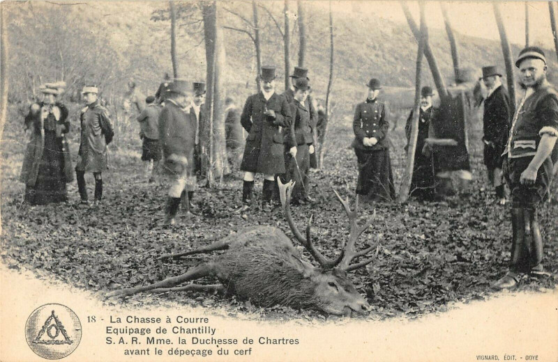 Carte postale ancienne Chasse A Courre Equipage Chantilly La Duchesse De Chartres Depecage à Chantilly
