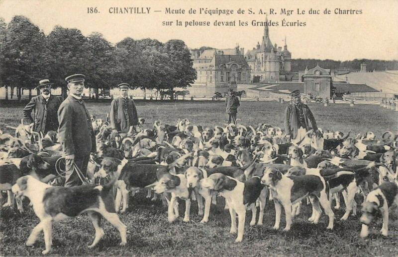 Carte postale ancienne Chasse A Courre Chantilly Meute De L'Equipage Du Duc De Chartres à Chantilly