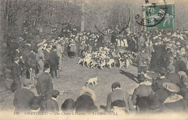 Carte postale ancienne Chantilly Une Chasse A Courre La Curee à Chantilly