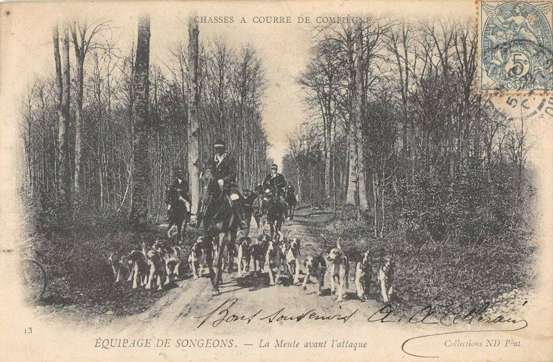 Carte postale ancienne Chasse A Courre Compiegne Equipage De Songeons La Meute Avant Attaque à Compiègne