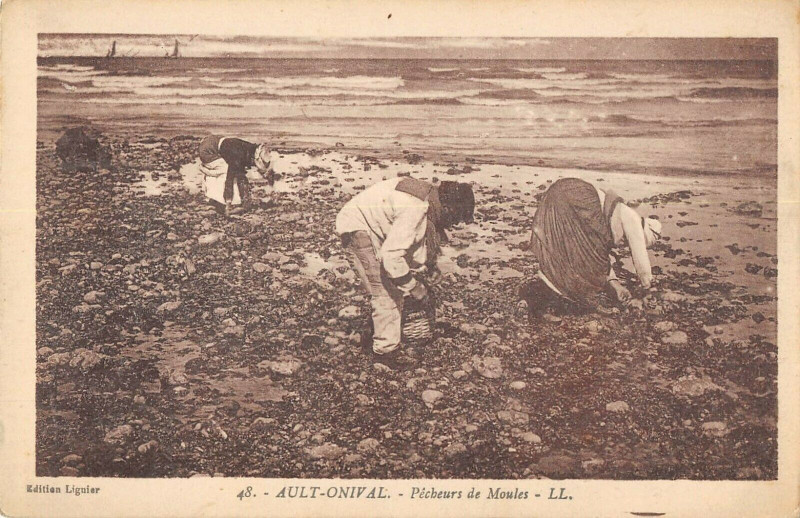 Carte postale ancienne Ault Onival Pecheurs De Moules à Ault