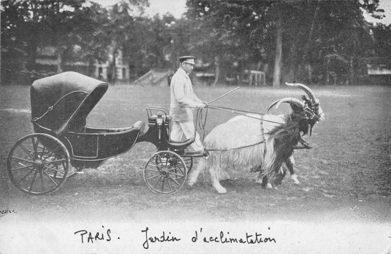 Carte postale ancienne Jardin d'Acclimatation à Neuilly-sur-Seine