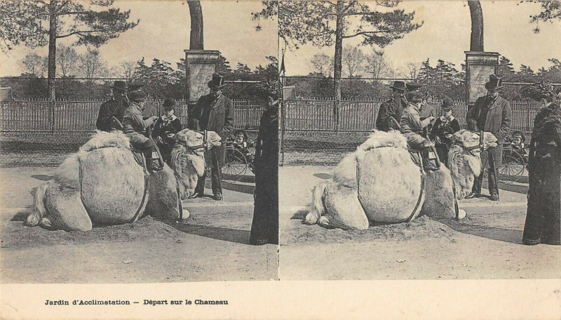 Carte postale ancienne Jardin d'Acclimatation - Départ sur le Chameau à Neuilly-sur-Seine