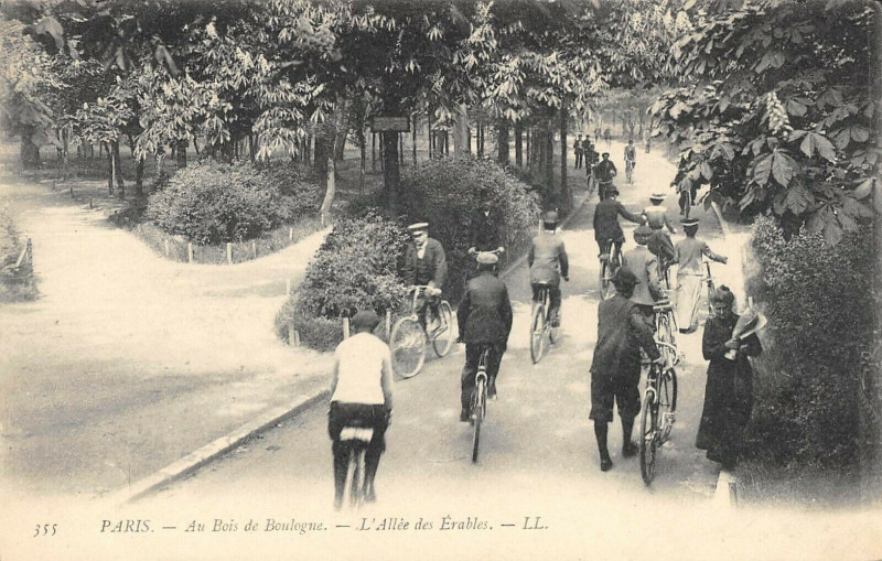 Carte postale ancienne Bois de Boulogne - L'Allée des Erables à Paris 16e