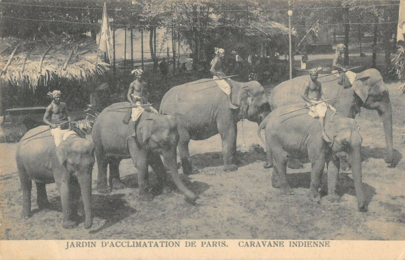 Carte postale ancienne Jardin d'Acclimatation de Paris - Caravane Indienne à Neuilly-sur-Seine