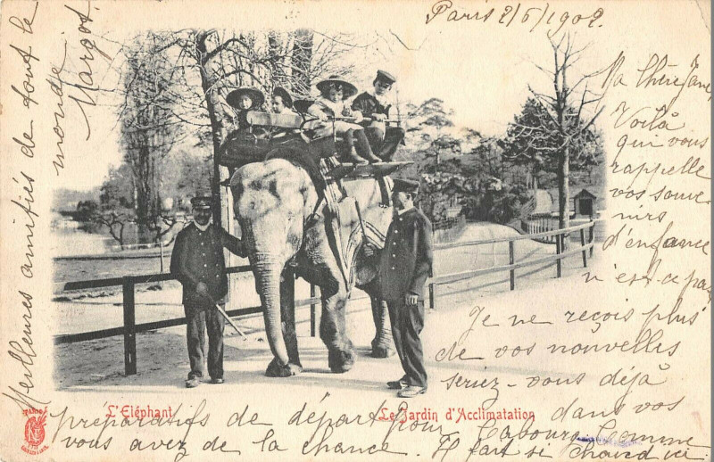 Carte postale ancienne L'Eléphant - Le Jardin D'Acclimatation à Neuilly-sur-Seine