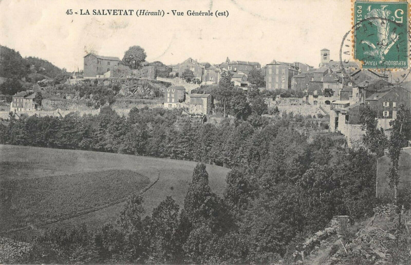 Carte postale ancienne La Salvetat Vue Generale