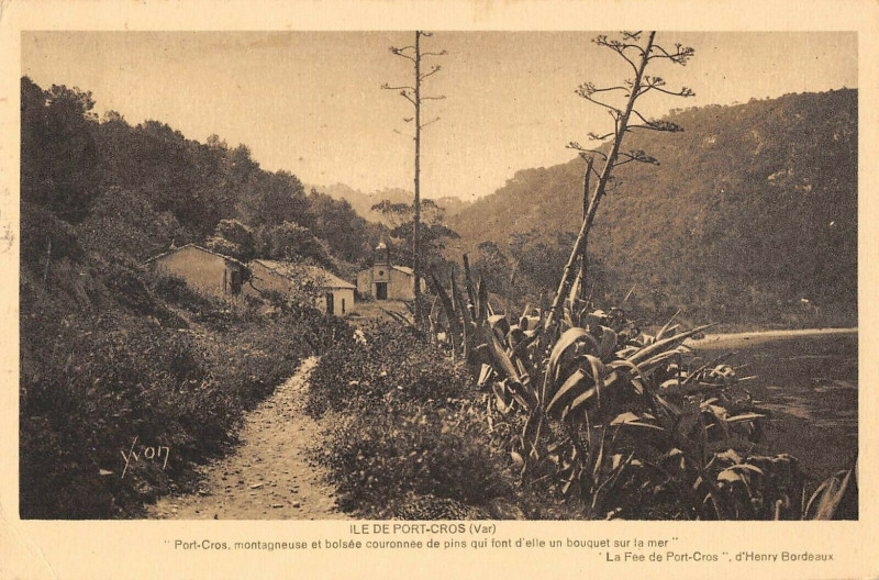 Carte postale ancienne Ile De Port Cros