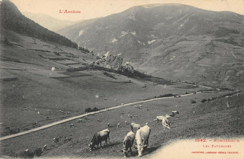 Carte postale ancienne Montsegur Les Paturages à Montségur