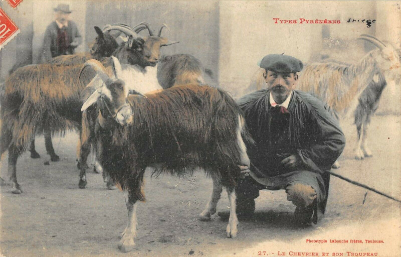 Carte postale ancienne Types Pyreneens Le Chevrier Et Son Troupeau