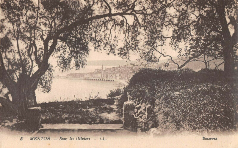 Carte postale ancienne Menton Sous Les Oliviers à Menton