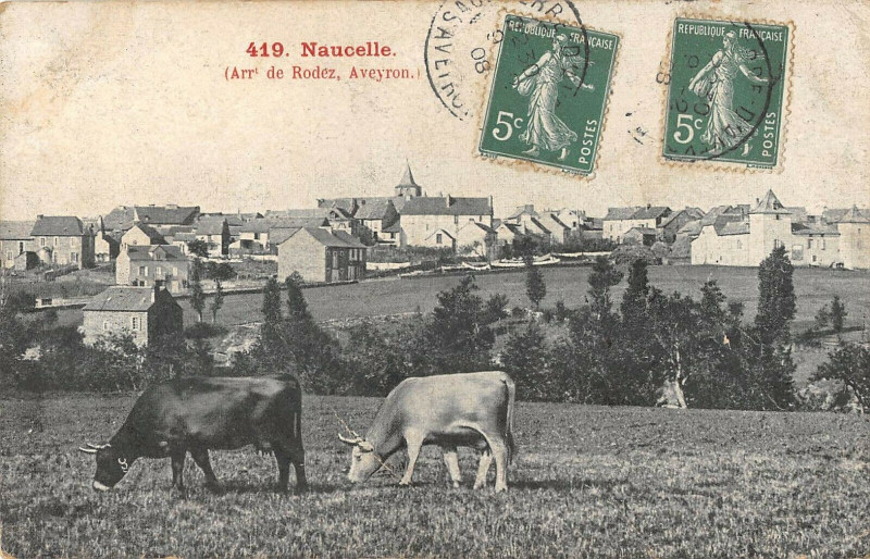Carte postale ancienne Naucelle à Naucelle
