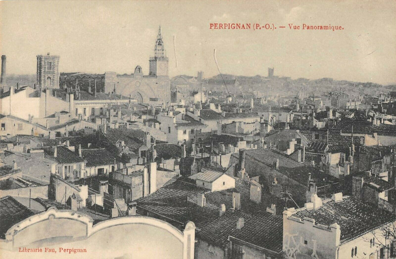 Carte postale ancienne Perpignan Vue Panoramique à Perpignan