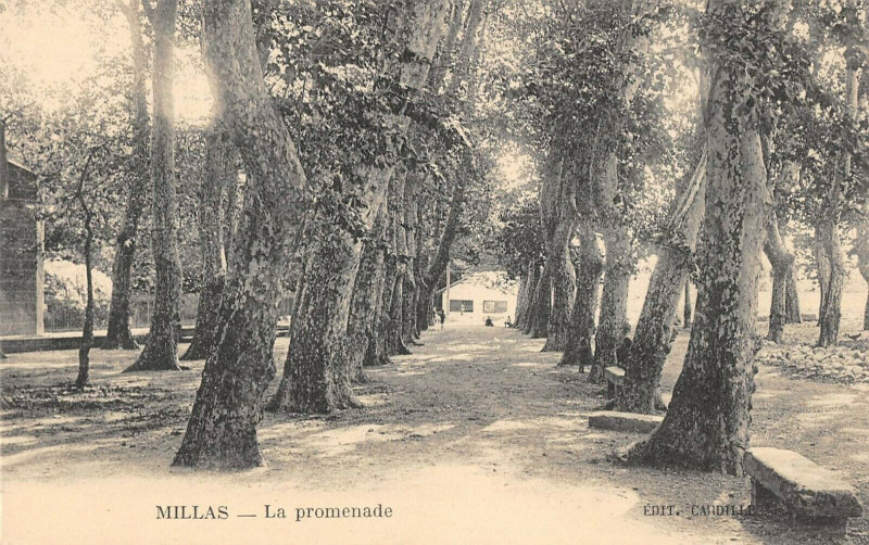 Carte postale ancienne Millas La Promenade à Millas