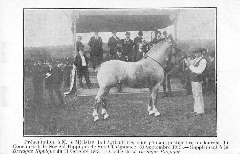 Carte postale ancienne Bretagne Hippique Presentattion Au Ministre Agriculture Sté Saint-Thegonnec