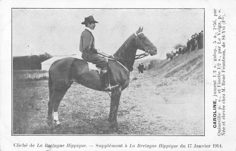 Carte postale ancienne Bretagne Hippique Caroline Jument Elevee Chez Mr Feunteun De Saint Yvi à Saint-Yvi
