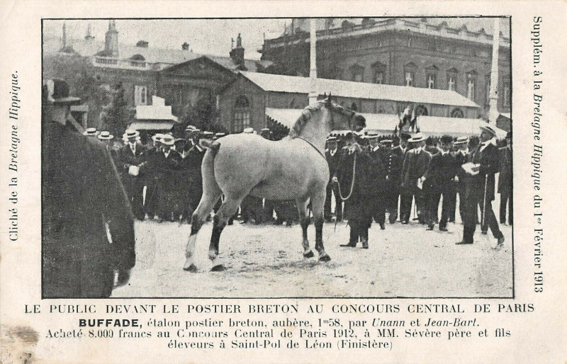 Carte postale ancienne Bretagne Hippique Concours De Paris Mm.severe Pere Et Fils De Saint-Pol Leon