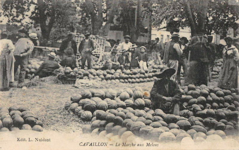 Carte postale ancienne Cavaillon Le Marche Aux Melons à Cavaillon