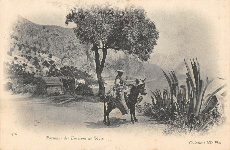 Carte postale ancienne Paysanne Des Environs De Nice à Nice