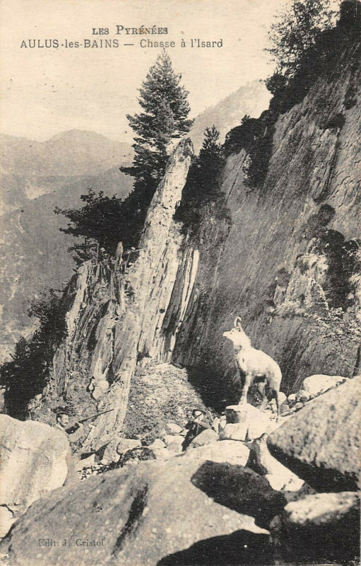 Carte postale ancienne Aulus Les Bains Chasse A L'Isard à Aulus-les-Bains